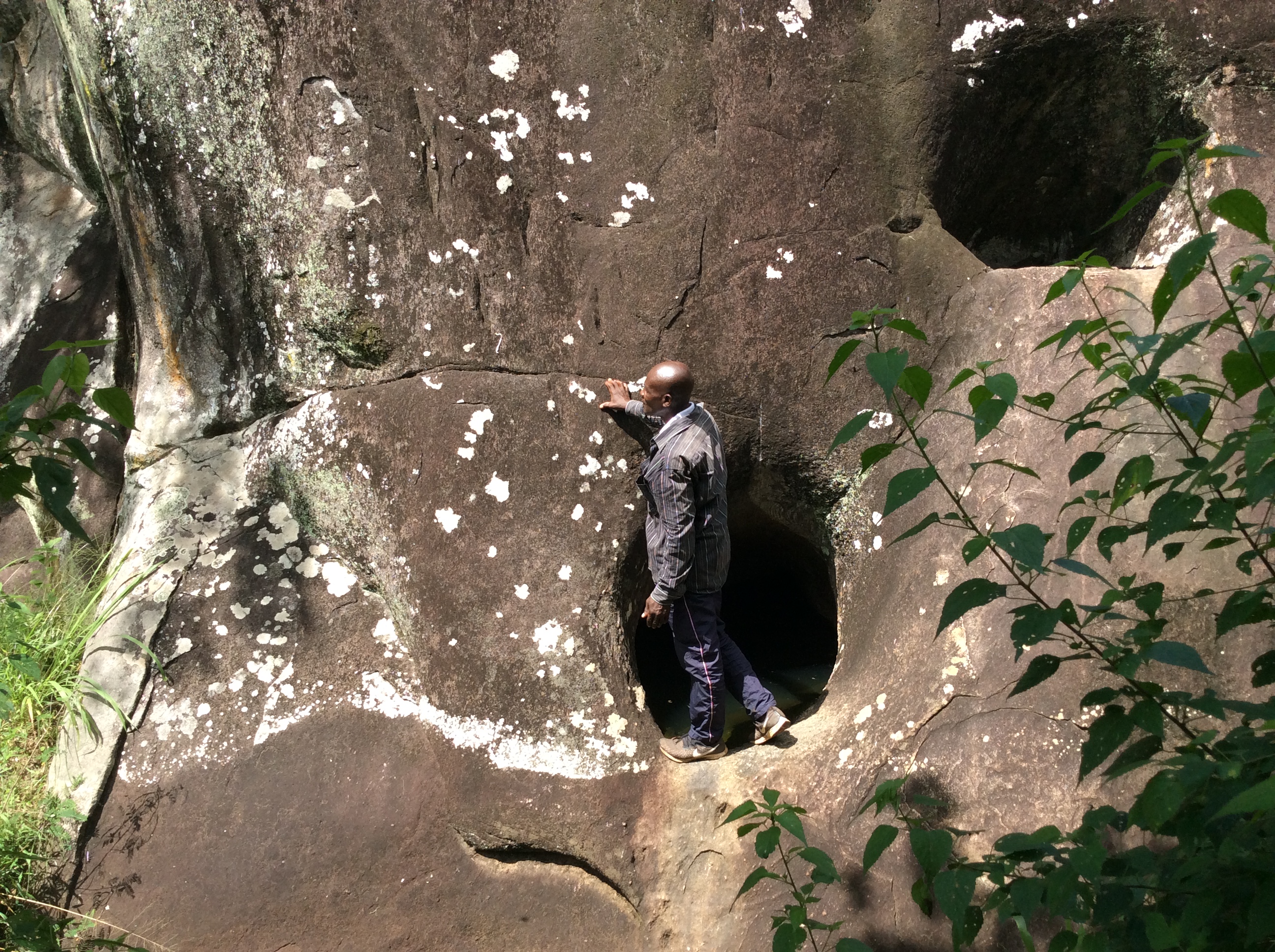 Hiking & Cultural Forest Experience